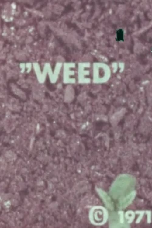 Poster WEED 1971