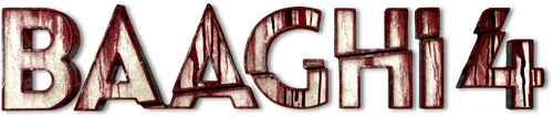 Baaghi 4