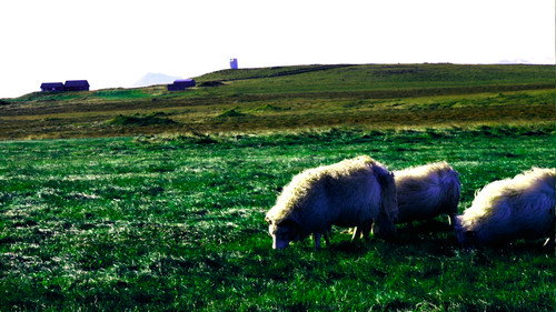 Journey to the Center of the Sound