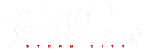 全城风暴