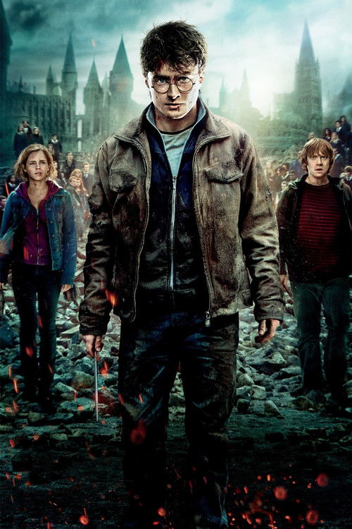 Pòster de Harry Potter - Col·lecció