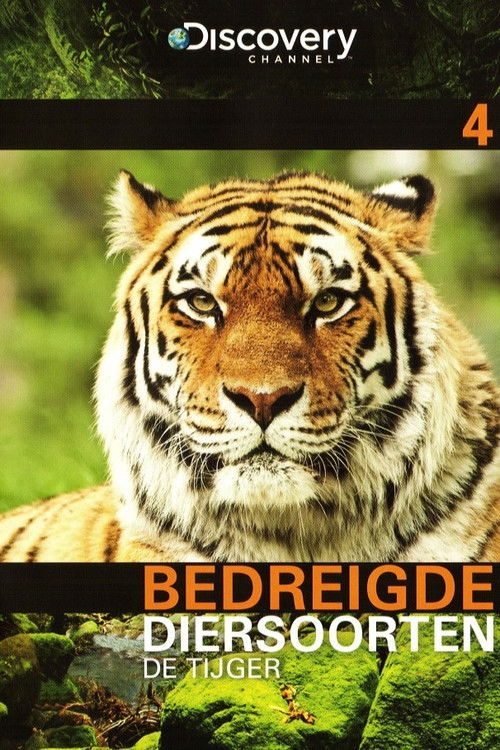 Bedreigde Diersoorten 04: De Tijger