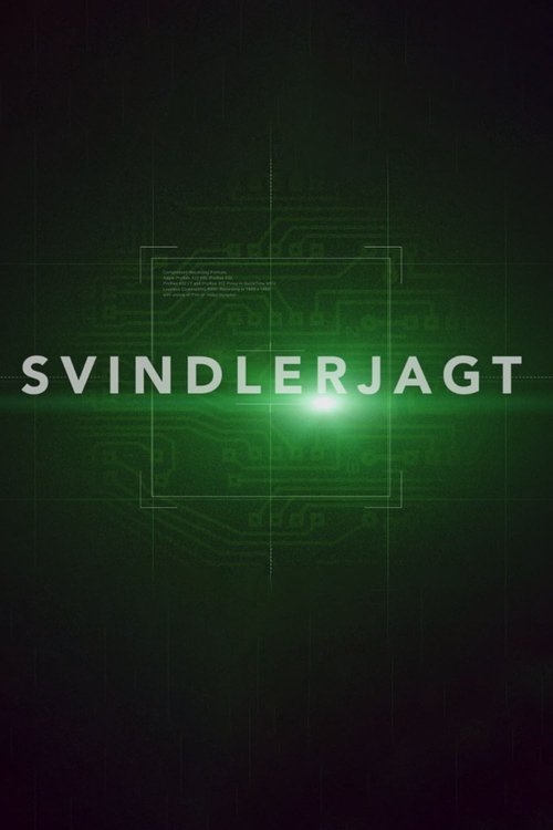 Svindlerjagt (2016)