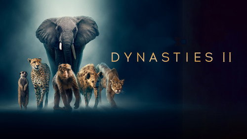 Dynasties