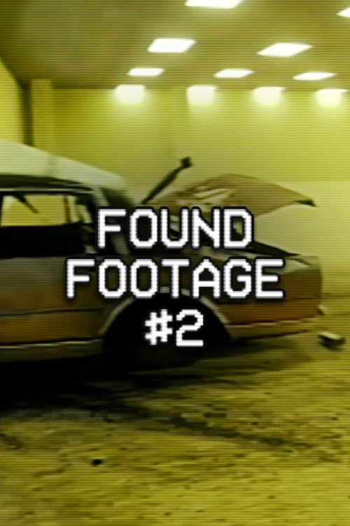 Backrooms: Found Footage #2