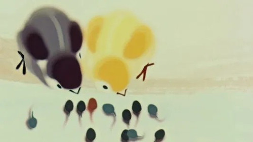 Image de l'épisode 67