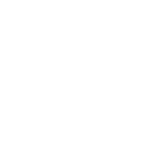 The Secret Art of Human Flight