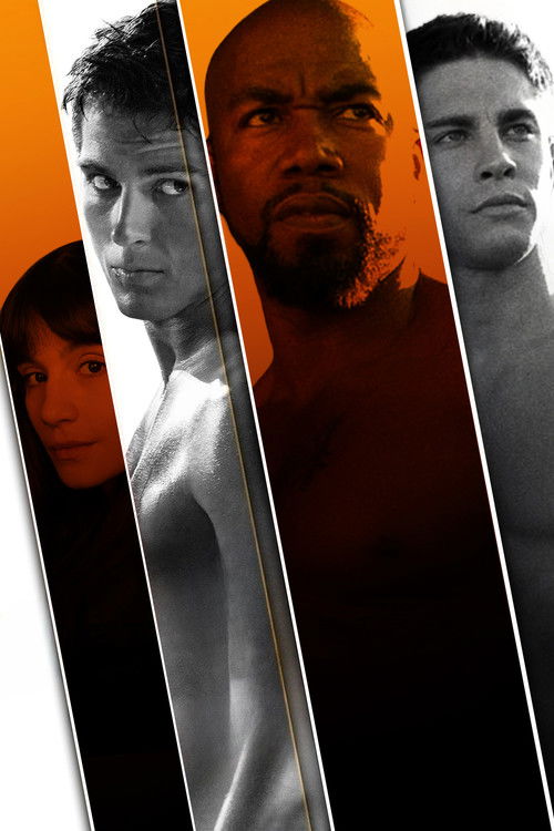 Pòster de Never Back Down Collection