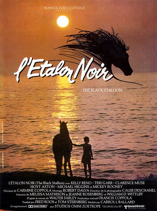 The Black Stallion poster