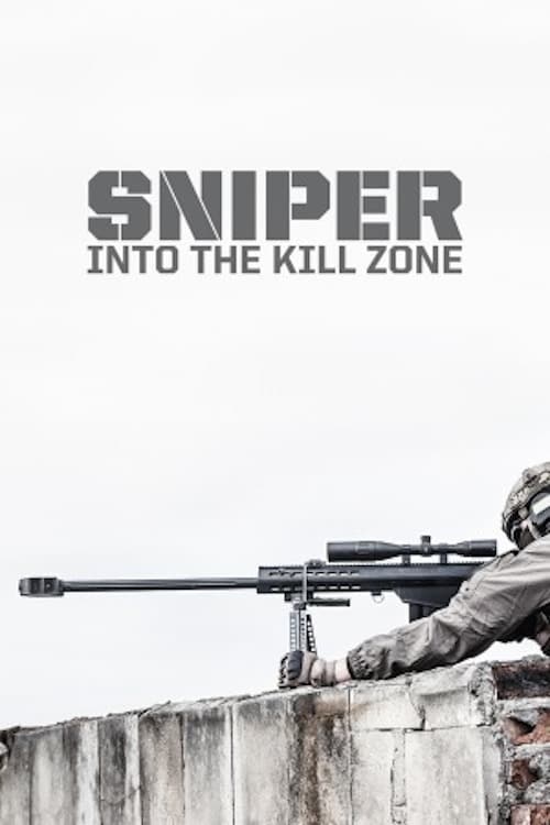 Sniper: Into the Kill Zone Movie Poster Image