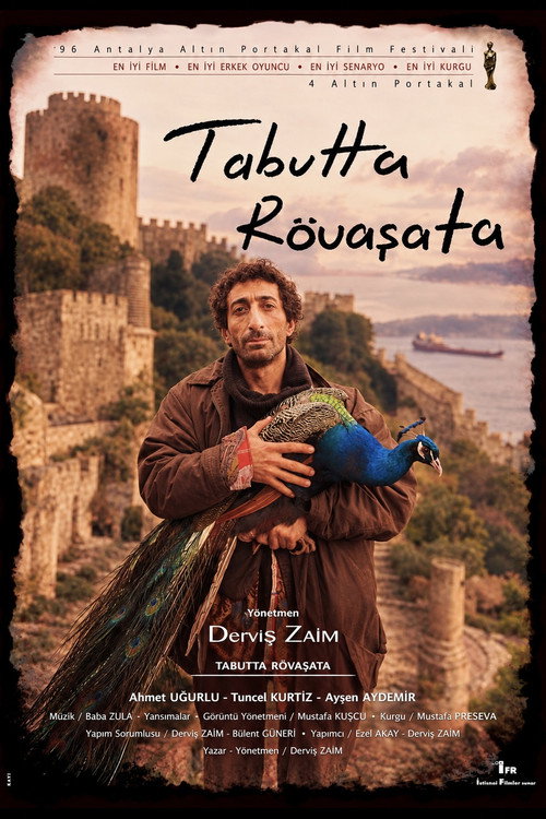 Affiche de Tabutta Rövaşata