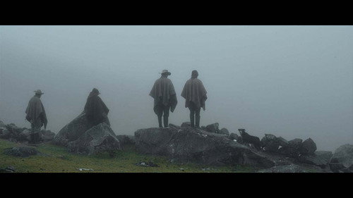 Into the fog still