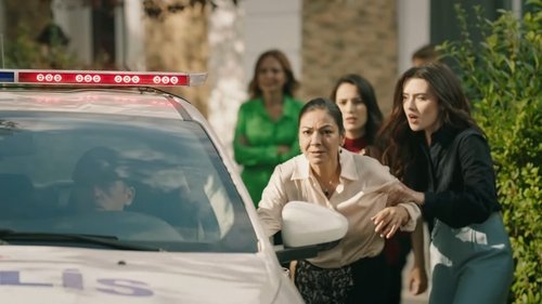 Image de l'épisode 12