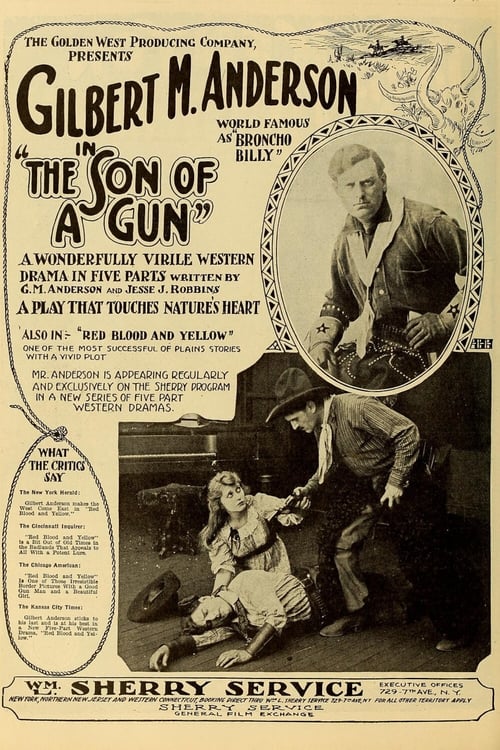 The Son-of-a-Gun (1919)