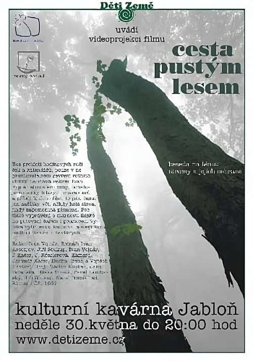 The Way Through the Bleak Woods poster
