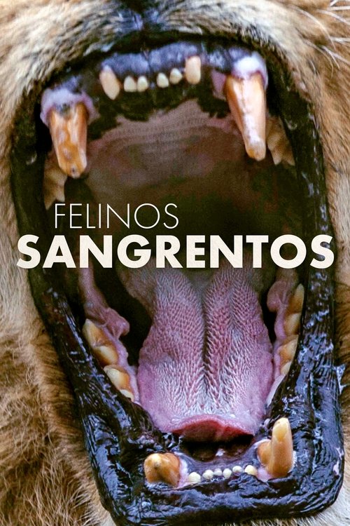 Felinos Sangrentos