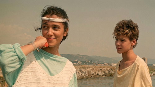 A Summer in a Sea Shell