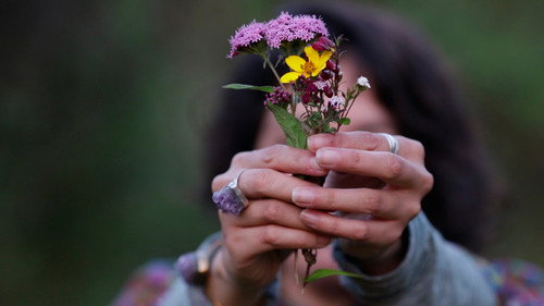 We Are Earth still