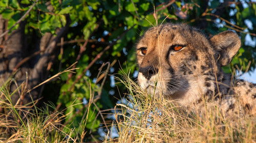 Image de l'épisode Épisode 4