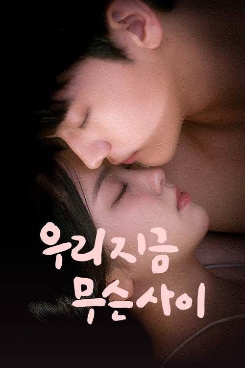 Affiche de 우리 지금 무슨 사이