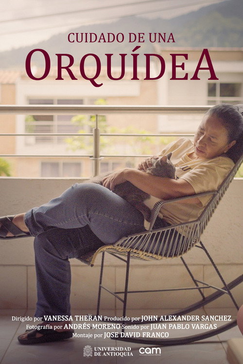 Cuidado de una Orquidea