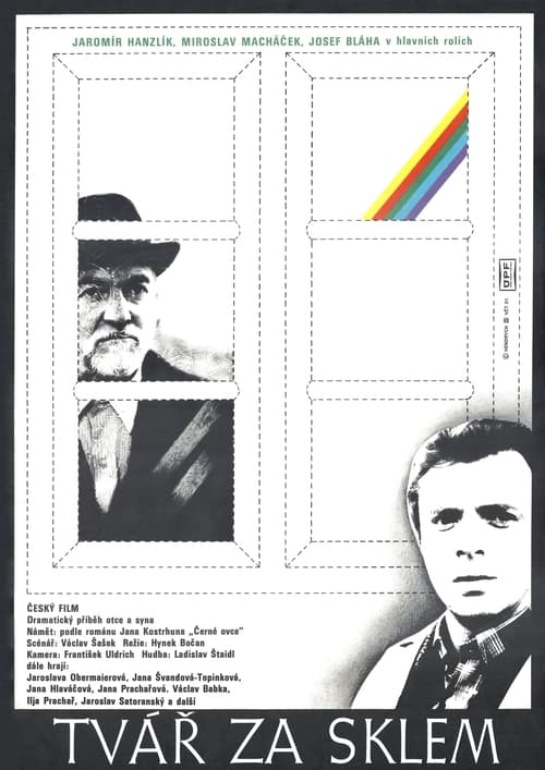 Tvář za sklem (1979) poster