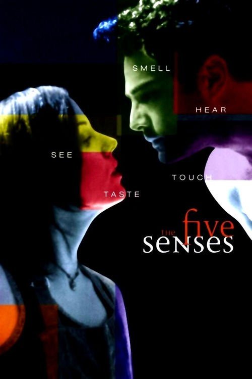 Grootschalige poster van The Five Senses