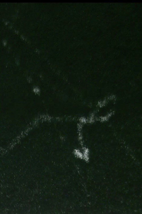 Ion (2011) poster