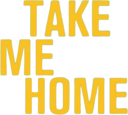 Take Me Home