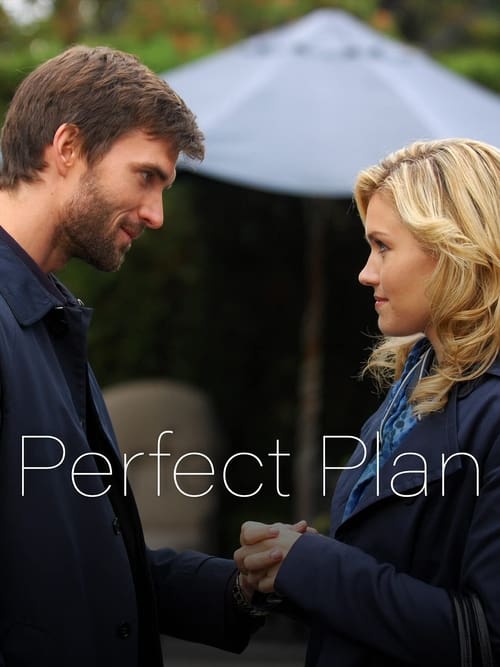 Perfect Plan poster