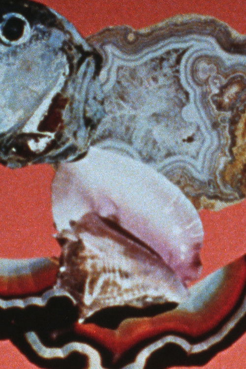 Cartell de The Light Fantastic Picture Show