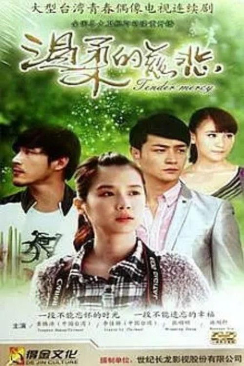 Gentle Mercy (2012) poster