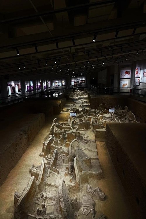 三门峡虢国墓地 (2017) poster