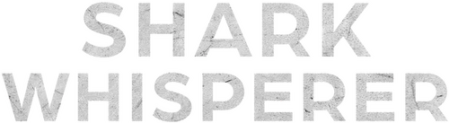/qk94vBYGVltWQzKsVwfFh9IqbJc.png