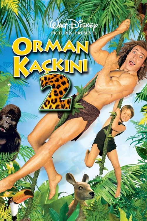 Orman Kaçkını 2 ( George of the Jungle 2 )