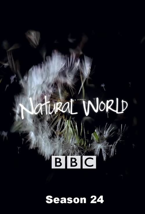 Natural World, S24 - (2005)