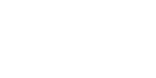 WWE Icons