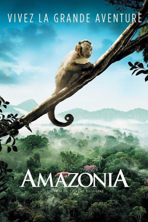 Amazonia 2013