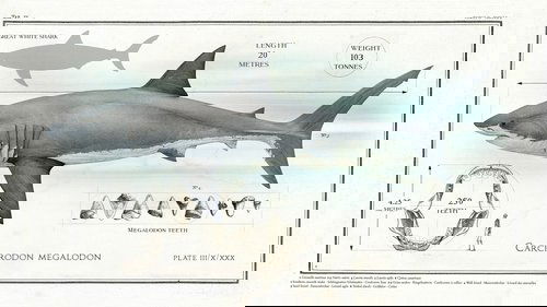 Big Beasts: Last of the Giants