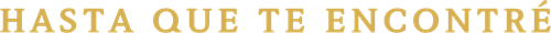 Hasta que te encontré
