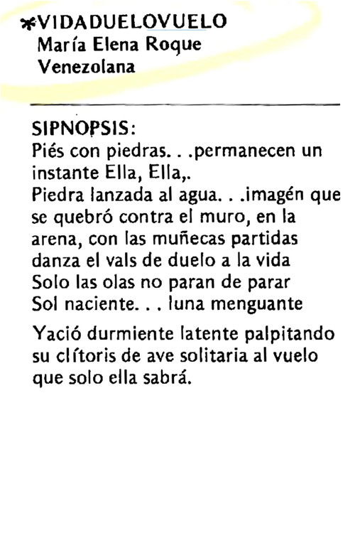 Affiche de Vidaduelovuelo