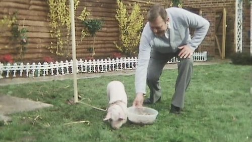 Image de l'épisode 2