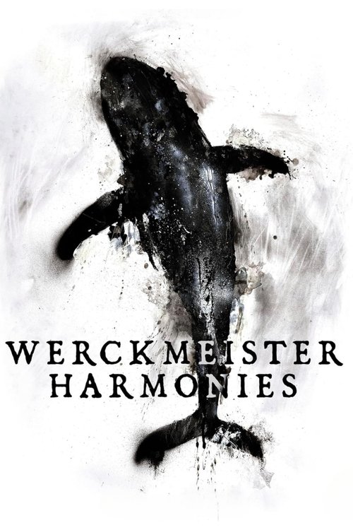 Poster 19