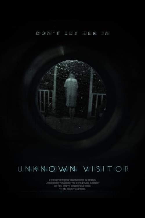 Unknown Visitor Movie Poster Image