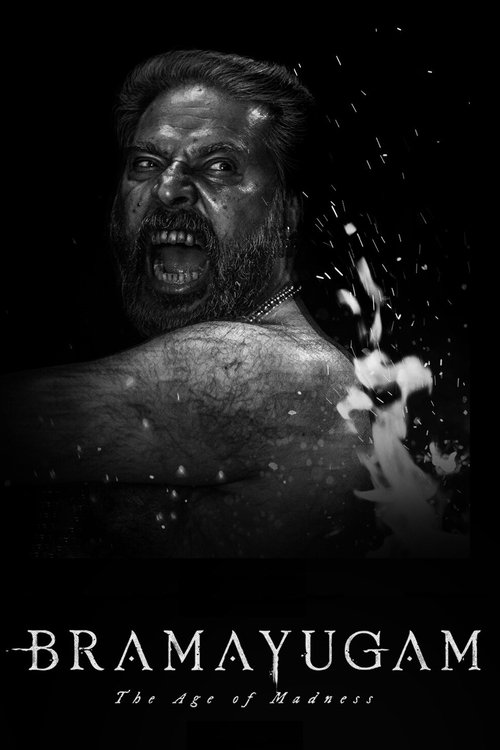 Bramayugam poster