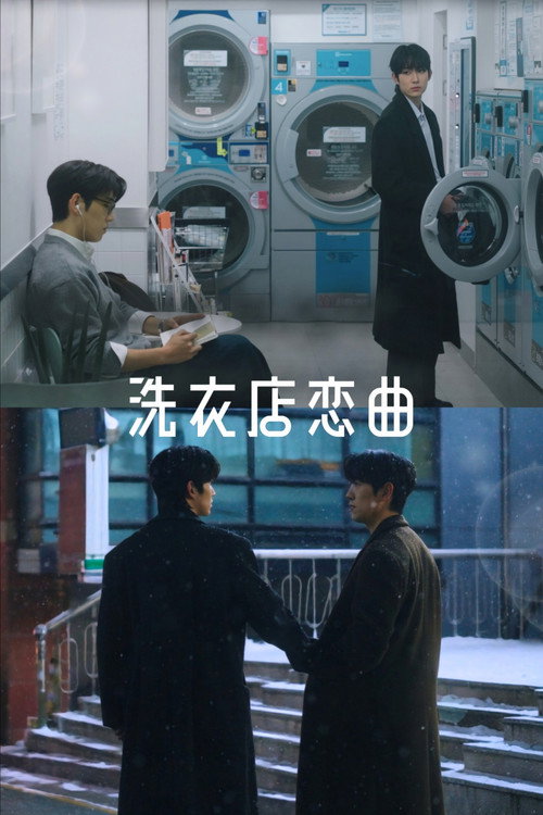 洗衣店罗曼史(2026)海报