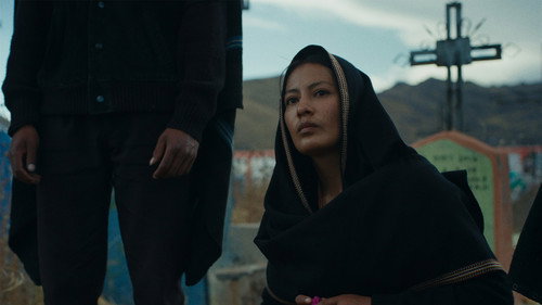 The Anatomy of the Horses