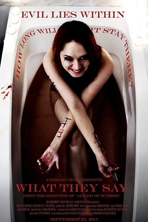 What They Say (2011) poster