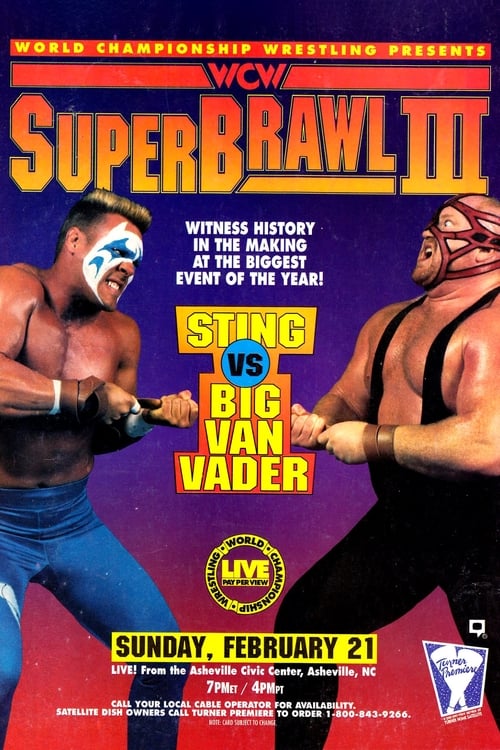 WCW SuperBrawl III (1993) poster