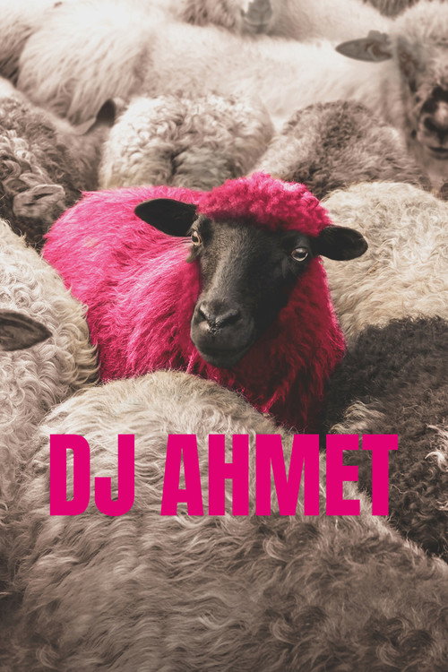 DJ Ahmet